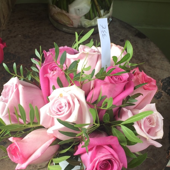 Meet your Posher, Elaine - Picture 3 of 3